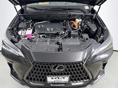 2024 Lexus NX 350h Luxury