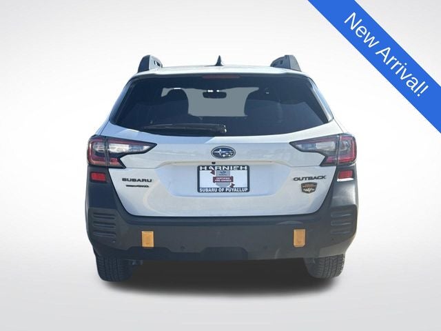 2025 Subaru Outback Wilderness