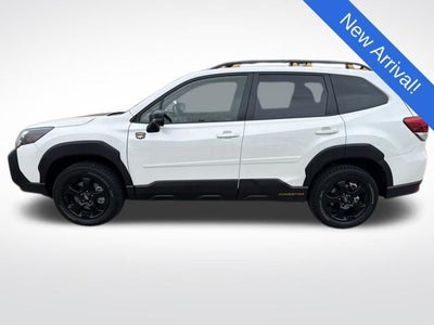 2023 Subaru Forester Wilderness